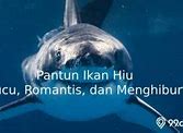 Ikan Hiu Makan Tomat Gombal